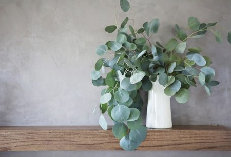 eucalyptus-decor-02